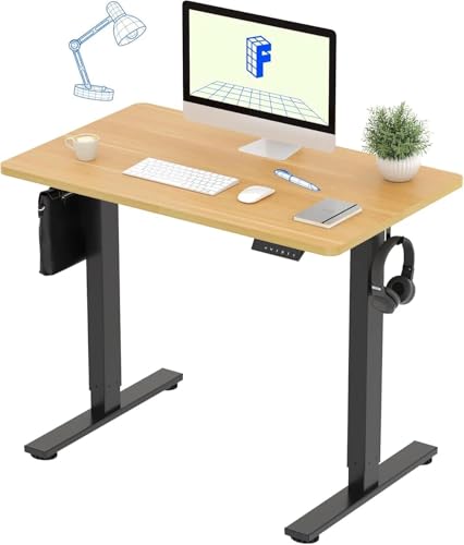 FLEXISPOT 電動式スタンディングデスク EF1 幅120×奥行60 メモリー機能